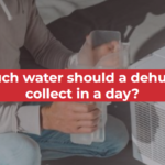 How much water should a dehumidifier collect in a day