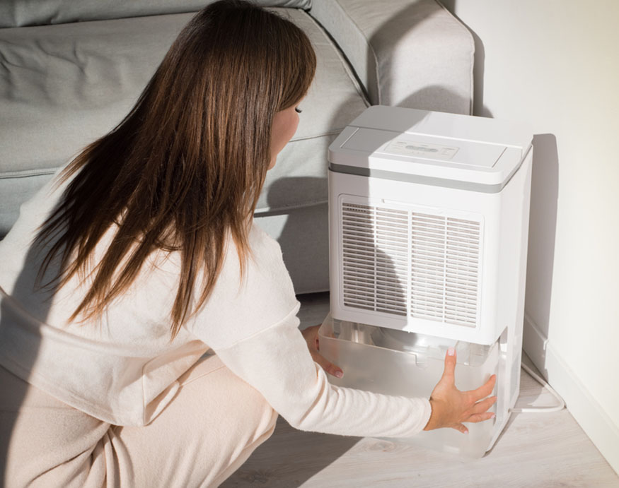 woman with dehumidifier